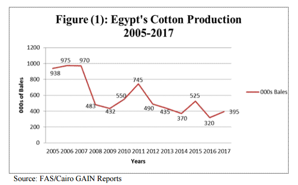 埃及棉花生产
