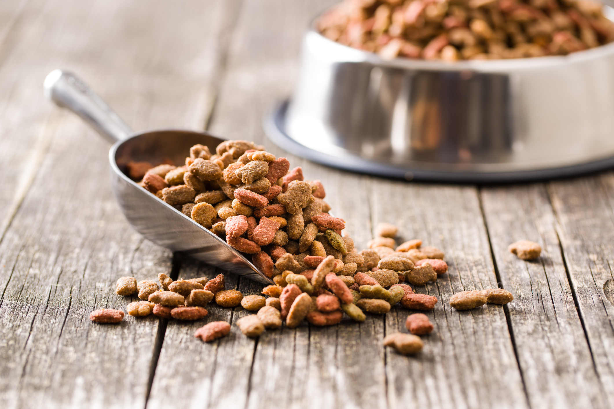 top pet food companies