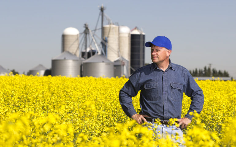 Grain and Oilseed Storage Practices